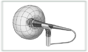 microfono polar cariodes cual es el mejor microfono para grabar voces en directo grabar voces en vivo